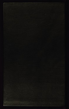 Binding from Collection of Poems (Divan)