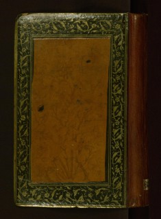 Collection of Poems (Divan)