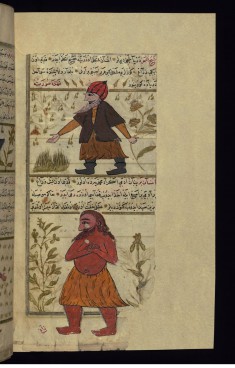 The Men Shaykh al-bahr (Sheik of the Sea) and Insan-i barr (Man of the Desert)