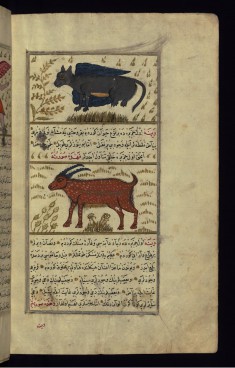 A Winged Animal of Dhabikh Island and a Red Animal of Vaynah (Vinah?) (Sea of China)