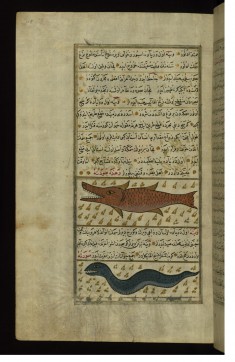Two Fish from the Vaynah (Vinah?) Seas