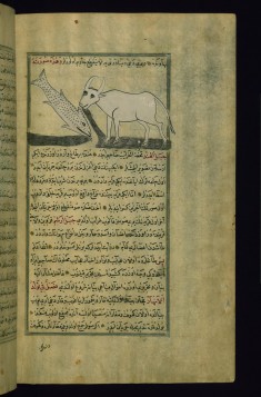 The Talisman of Nahavand: Water Pouring out of the Mouths of a Cow and a Fish