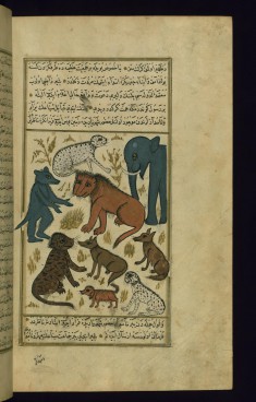 The Lion King Surrounded by his Subjects