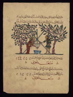 Single Leaf from the Arabic Version of Dioscorides' De materia medica