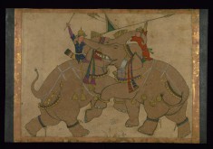 Single Leaf of Elephant Combat