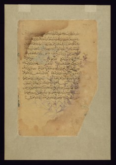 One of Four Leaves from the Arabic Version of Dioscorides' De materia medica