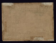 A Nilgai (Back)