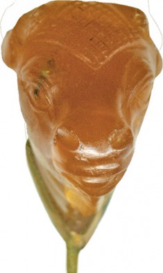 Bull's Head