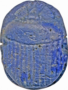 Scarab