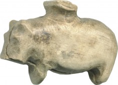 Hippopotamus