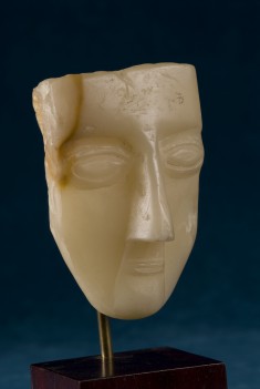 U-Shaped Juvenile Face