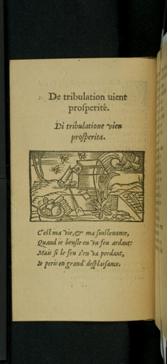 La fleur des sentences certaines, apophthegmes, et stratagemes, tant des anciens, que des modernes : enrichy de figures, & sommaires Franc¸oys, & Italiens, propres a` chascune sentence.