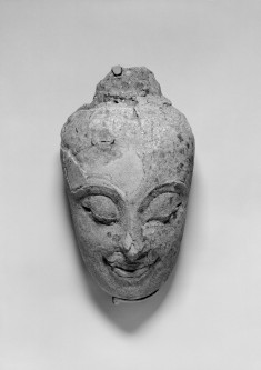 Head of the Buddha