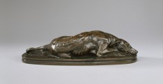 Sleeping Greyhound