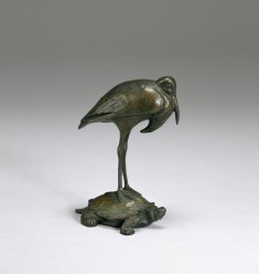 Stork Standing on a Turtle