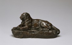 Panther of India, No. 2