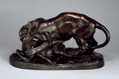Tiger Attacking a Stag