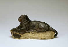 Panther of India, No. 2