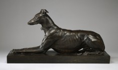 Greyhound