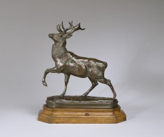 Deer with Foreleg Raised