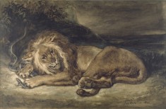 Lion and Snake