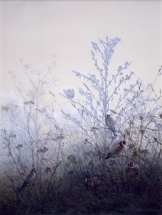 Birds Resting on Bushes