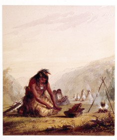 Shosohonee [sic] Indian Preparing His Meal