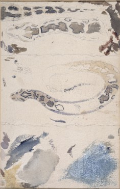 Studies of a Snake's Skin