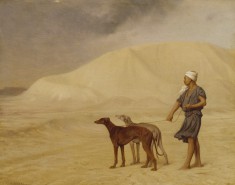 On the Desert