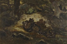Python Crushing a Gnu