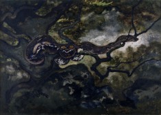 Python in a Tree