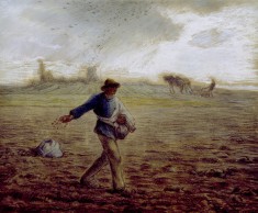 The Sower