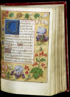 Leaf from a Book of Hours
