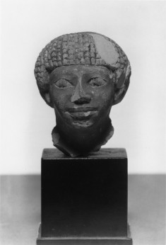 Male Head