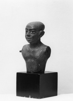 Nude Male Bust