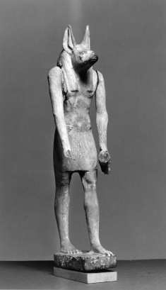 Anubis Standing