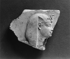 Model with the Head of a King and a Human Hand