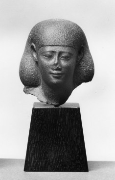 Male Head