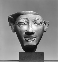 Model of a Male Face