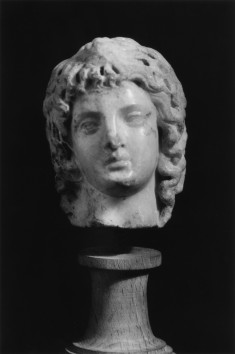 Male Head
