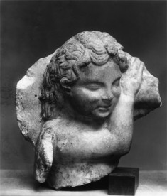 Head of a Sleeping Cupid