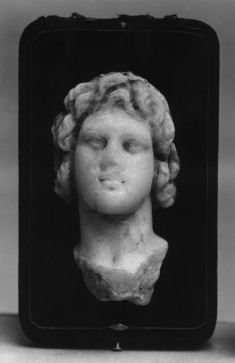 Head of a Youth