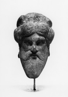 Head
