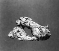 Dog Eating the Head of an Animal