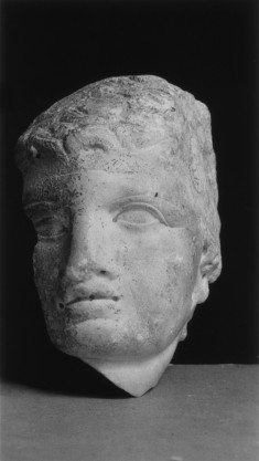 Male Head