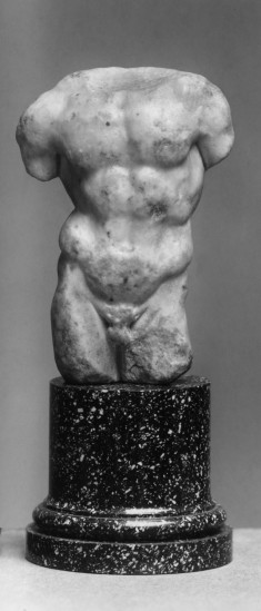 Male Torso (Fragment)