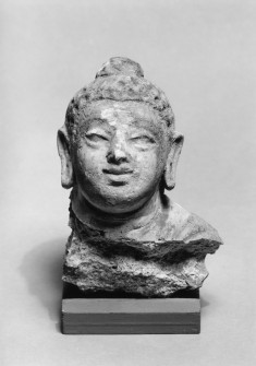 Fragmentary Head of Buddha