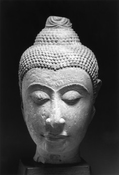 Head of the Buddha