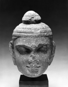 Head of the Buddha