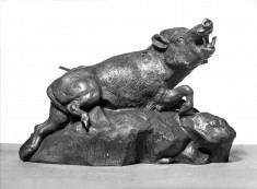 Wounded Boar